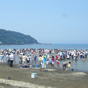 多田良北海水浴場・画像