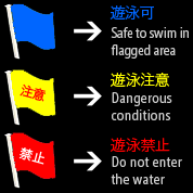 まずは遊泳条件を確認だ
